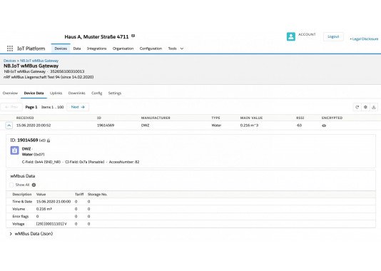 IoT platforma MbusWEB | 1 x kintamasis mėnesiui