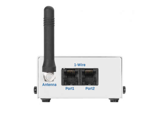 Temperatūros ir drėgmės stebėjimo įrenginys NB-2x1Wire