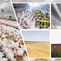 Išmanus CO2 monitoringas paukščių ir gyvulių fermose